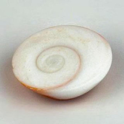 Akshayshree Sales 11 Pc Big Size Gomti Chakra 1.5 cm (big size) Stoneware Yantra(Pack of 1)