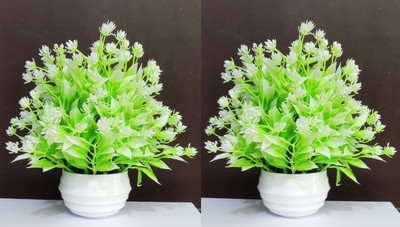 BK Mart Set of 2 Table Top Best For Home/Office Table Decoration or Gift Bonsai Wild Artificial Plant  with Pot(20 cm, White, Green)