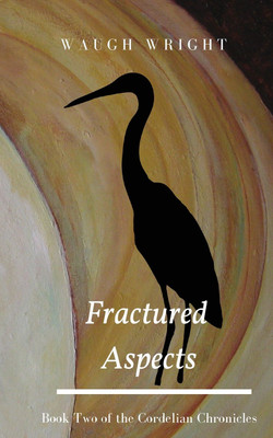 Fractured Aspects(English, Paperback, Wright Waugh)