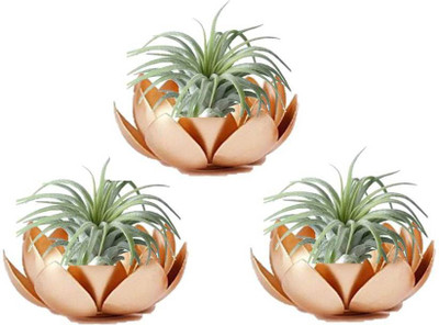 31% OFF on Inspiration World flower vase Lotus candle holder Set/3 Iron 3 - Cup Tealight Holder Set(Gold, Pack of 3) 31% OFF on Inspiration World flower vase Lotus candle holder Set/3 Iron 3 - Cup Tealight Holder Set(Gold, Pack of 3)