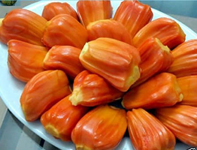 PB REBA PLANT Jackfruit Plant(Hybrid, Pack of 1)