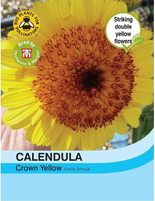 CYBEXIS Flower - Calendula Snow Princess - Seeds Seed(50 per packet)