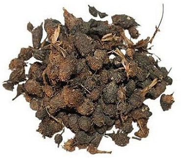 GOYAL GROUP Nagarmotha Seed(100 per packet)
