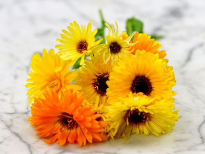 VibeX Hybrid Calendula 'Fiesta Gitana' or Pot Marigold- Seed(100 per packet)