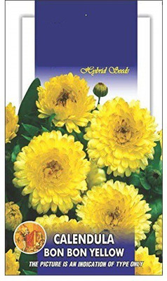 VibeX Calendula Seed(100 per packet)