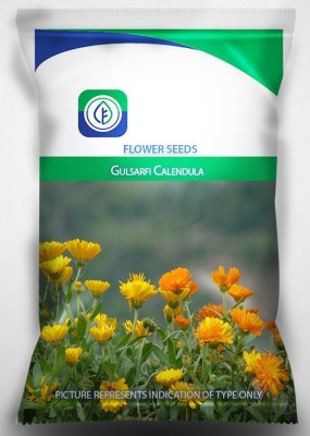 CRGO CALENDULA Seed(20 per packet)
