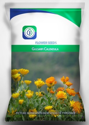 DROXTY ™ ICRA-100-Mixed Calendula Mixed Colour Flower -50 x Seeds Seed(50 per packet)