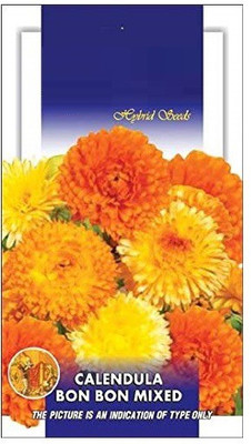 VibeX Calendula Seed(20 per packet)