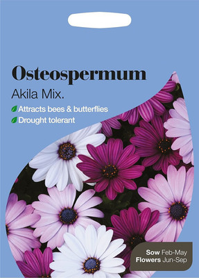 CYBEXIS Osteospermum Akila Mix Seed(1 g)