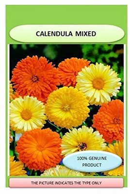 CYBEXIS Calendula Officinalis L. Orange Gitana Seed(50 per packet)