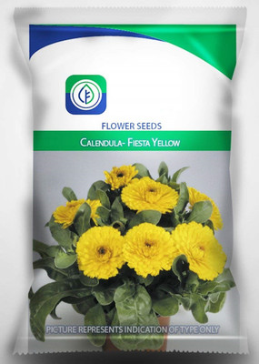 VibeX Calendula Seed(25 per packet)