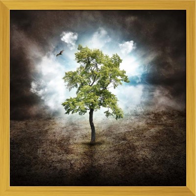 Artzfolio Lonely Tree in the Woods, Dream or Nature Concept Canvas Painting Golden Synthetic Frame 28inch x 28inch (71.1cms x 71.1cms) Digital Reprint 28 inch x 28 inch Painting(With Frame)