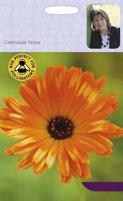 VibeX Calendula 'Pot Marigold' Nova Seed(15 per packet)