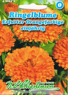 VibeX Marigold Erfurter Orange (Portion) Seed(100 per packet)