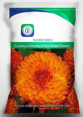 VibeX Mixed Calendula Mixed Colour F1 Hybrid Flower Seed(15 per packet)