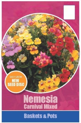 VibeX ICRA-116-Seeds Nemesia Strumosa Easy Seeding Flower Seed(60 per packet)