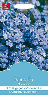 VibeX Nemesia Seed(60 per packet)