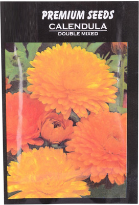 CYBEXIS Calendula-Extra Orange Double Seeds Seed(50 per packet)