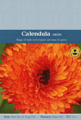 VibeX Calendula Seed(20 per packet)
