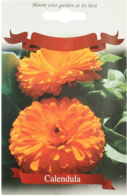 VibeX Seeds Calendula Officinalis L. Orange Gitana flower Seed(15 per packet)