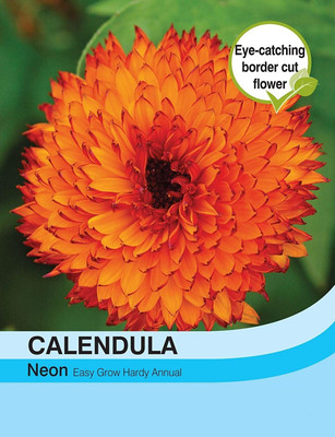 VibeX Calendula Seed(20 per packet)