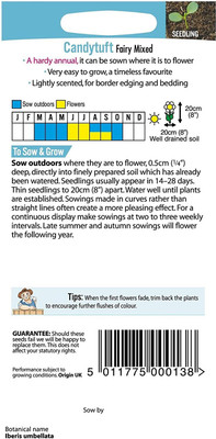 VibeX PAU-33-Candytuft Dwarf Fairy Mixed-20 x Seeds Seed(20 per packet)