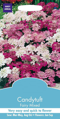 VibeX HUA-28-Candytuft Fairy Mixed Seeds-20 x Seeds Seed(20 per packet)