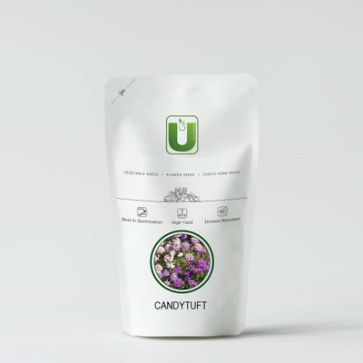 VibeX Candytuft Fairy Mixed Seed(15 per packet)