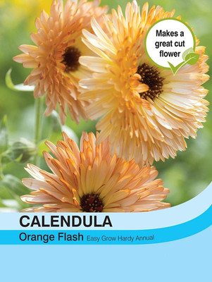 VibeX Calendula Seed(20 per packet)