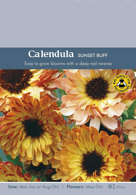VibeX Calendula Seed(100 per packet)