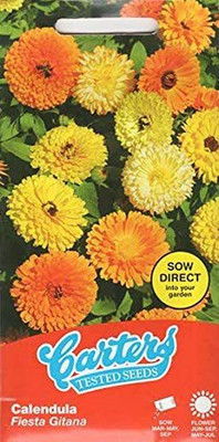 VibeX Calendula Seed(20 per packet)