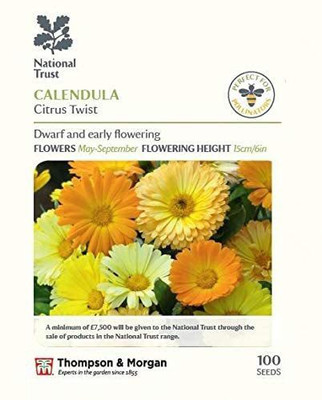 VibeX Calendula Seed(100 per packet)