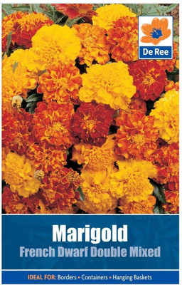 VibeX Calendula Seed(25 per packet)