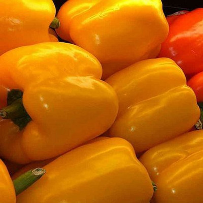 GRAH PRAVESH Capsicum Yellow Seed(20 per packet)