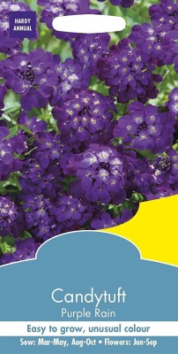 VibeX Candytuft Mayfield Beauty Seed(15 per packet)