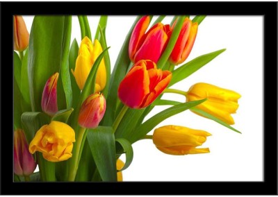 Red & Yellow Tulips Paper Poster Black Frame | Top Acrylic Glass 19inch x 13inch (48.3cms x 33cms) Paper Print(13 inch X 19 inch, Framed)