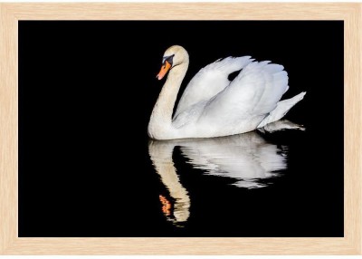 Artzfolio ArtzFolio Swan on Water with a Mirror Image Reflection Canvas Painting Natural Brown Wooden Frame 23.5inch x 16inch (59.7cms x 40.6cms) Digital Reprint 16.5 inch x 24 inch Painting(With Frame)