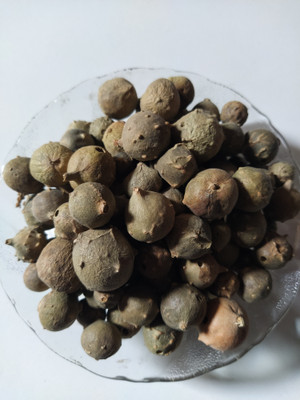 AmbeStore Majuphal seeds Seed(35 per packet)