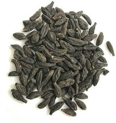CHIRK black himej Seed(500 per packet)