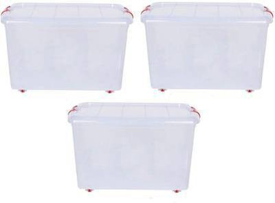 Easymart Plastic Grocery Container  - 25 L(Pack of 3, White)