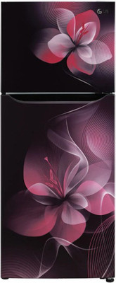 LG 260 L Frost Free Double Door 2 Star (2020) Refrigerator(Purple Dazzle, GL-S292DPDY.APDZEBN)