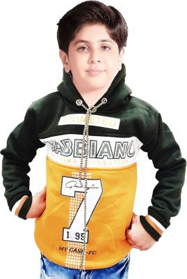 AD & AV Full Sleeve Color Block Boys Sweatshirt