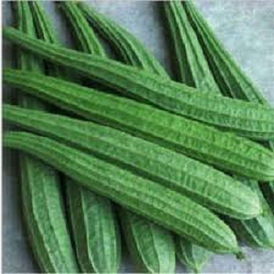 Mozetto Ridge Gourd Seed(55 per packet)