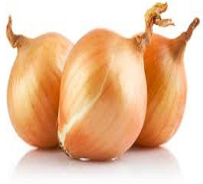 Mozetto White Onion Seed(50 per packet)