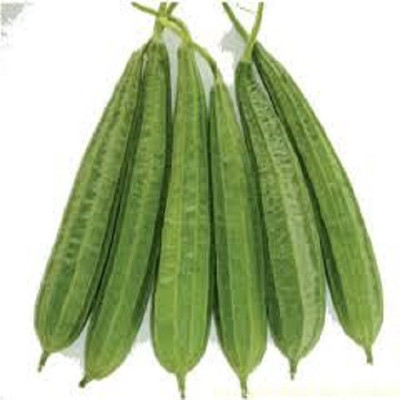 Mozetto Ridge Gourd Seed(50 per packet)