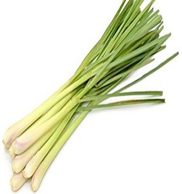 Mozetto Lemon Grass Seed(10 per packet)