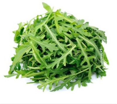 XOLDA Rocket Salad Leaf Seed(20 per packet)