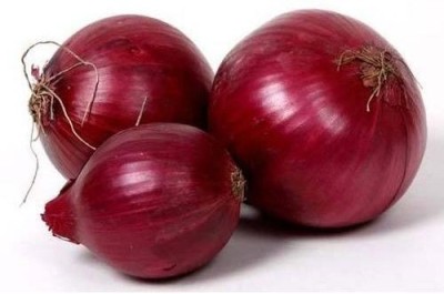 Paudha Red Onion ( 200 Seeds) And Mustard (200 Seeds) Vegetable Seed(2 per packet)