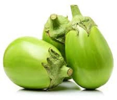 Paudha Green Brinjal Seed(25 per packet)