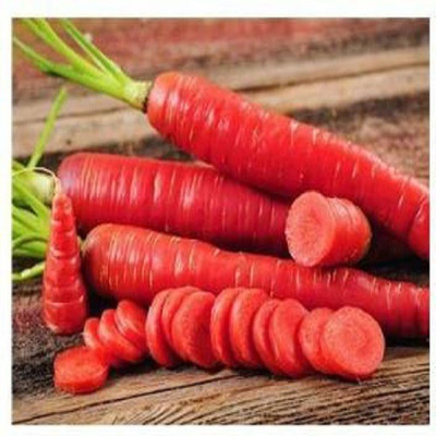 Paudha Red Carrot Seed(25 per packet)